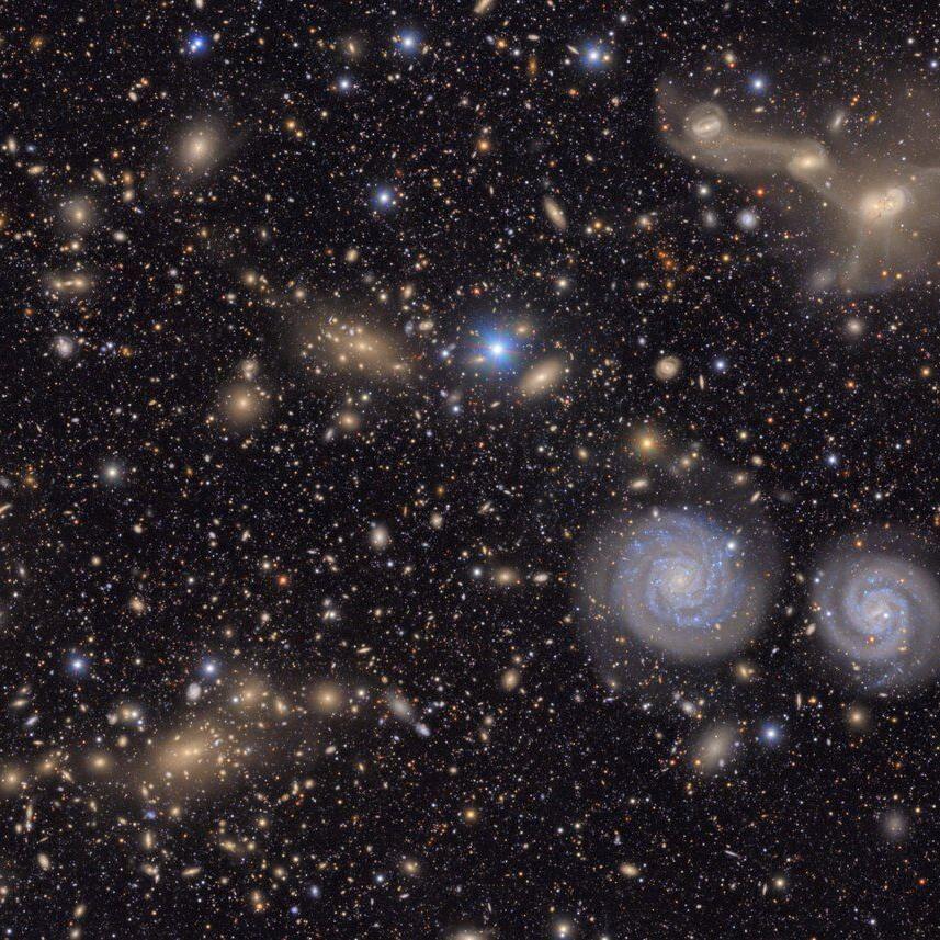 The largest digital camera ever built has released its first shots of the universe